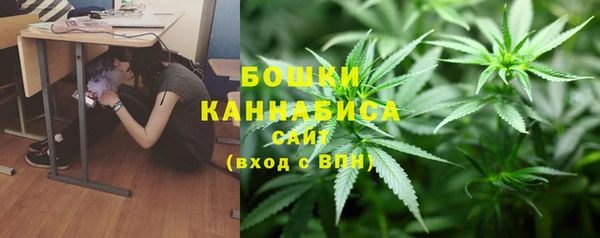 гидра Верхний Тагил