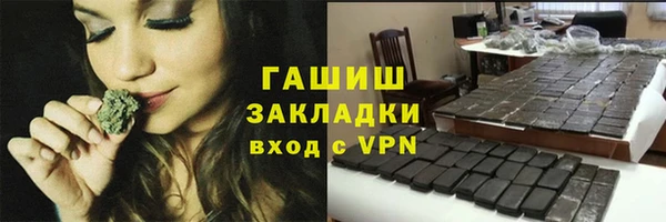 гидра Верхний Тагил