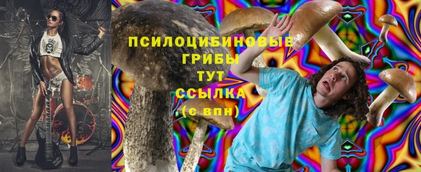 соль ск Верхнеуральск