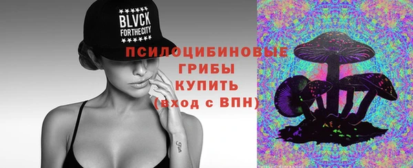 соль курить ск Бородино