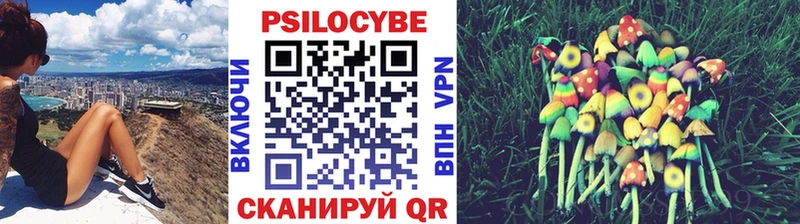 где можно купить наркотик  площадка состав  Псилоцибиновые грибы MAGIC MUSHROOMS  Гаврилов-Ям 